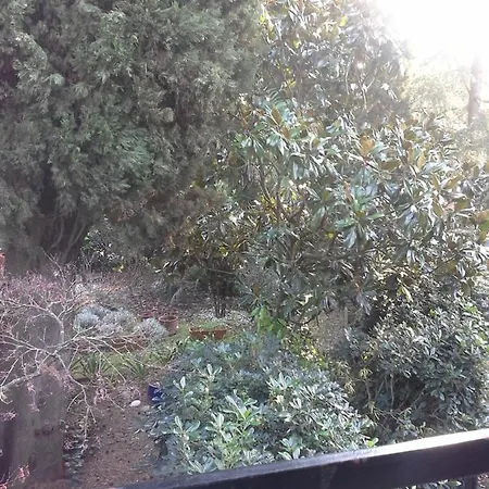 In A Quiet And Enviroment Apartment Portoroz